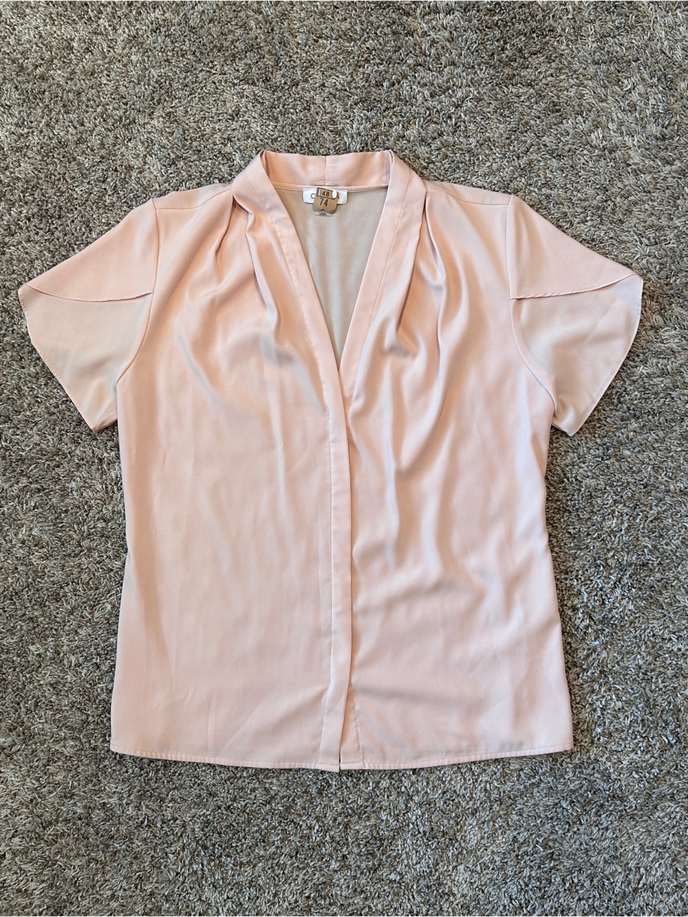Calvin Klein Blush Pink Pleated Blouse  with Flutter Sleeves